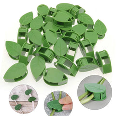 20 PCS Plant Climbing Wall Fixture Clips Invisible Self-Adhesive Hook