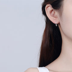 925 Sterling Silver Water Drop Hook Charm Earrings