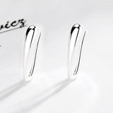 925 Sterling Silver Water Drop Hook Charm Earrings