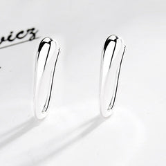 925 Sterling Silver Water Drop Hook Charm Earrings