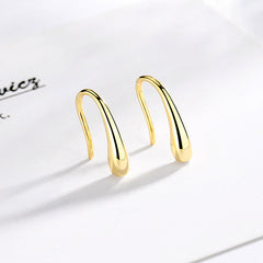 925 Sterling Silver Water Drop Hook Charm Earrings
