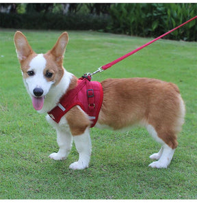Adjustable Corduroy Mesh Warm Walking Dog Cat Harness Vest with Leash