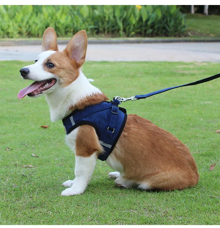 Adjustable Corduroy Mesh Warm Walking Dog Cat Harness Vest with Leash