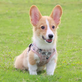 Breathable Mesh Kitten Puppy Reflective Dogs Plaid Harness Leash Set