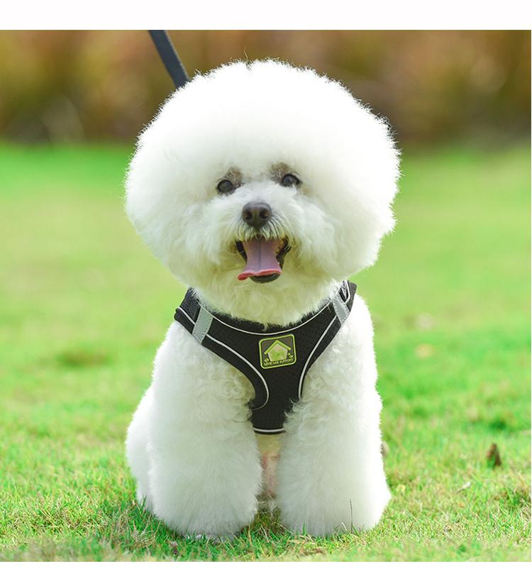 Breathable Mesh Reflective Dog Cat Walking Harness Vest Leash Set