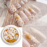 4 Packs Color Dried Natural Flowers for Nail Art DIY Crafts