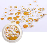 4 Packs Color Dried Natural Flowers for Nail Art DIY Crafts