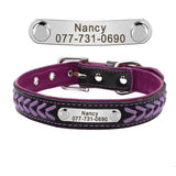 Custom Braided Leather Engraved Dog Collars with Personalized Nameplate
