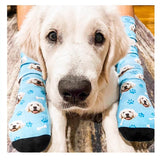 Customized Pets DIY Socks