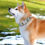 Customized Printed Nylon Dog Collar Personalzied Free Engraved Puppy ID Name