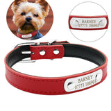 Personalized Leather Padded Custom Dog Cat Collar with Engraved Nameplate ID Tag