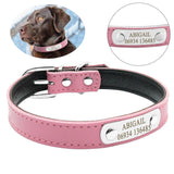 Personalized Leather Padded Custom Dog Cat Collar with Engraved Nameplate ID Tag