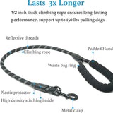 360 Swivel Dual Double Dog Leash with Tangle Free Shock Absorbing Bungee