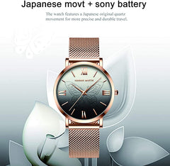 Hannah Martin Stylish 3D Butterfly Women Quartz Watches Stainless Steel Mesh Band