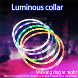 Led Usb Pet Dog Luminous Flashing Glow Glowing Night Collar