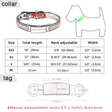 Personalized Small Dog Cat Puppy Kitty Soft Collar with Engraved Name Phone Number