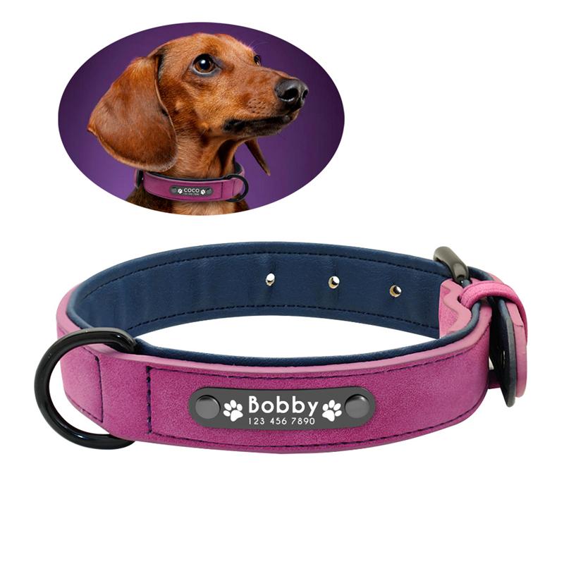 Personalized Genuine Leather Dog Collars Inner Padded with Engraving Nameplate