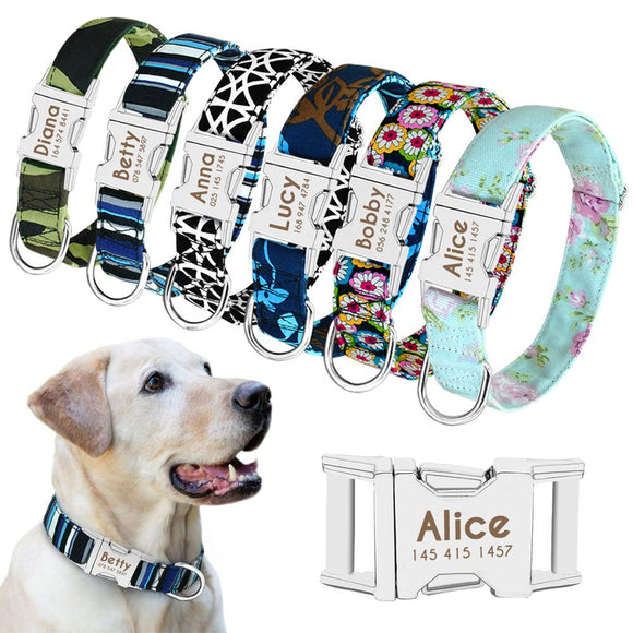 Personalized Dog Collar Embroidered With Pet Name and Phone -  Norway