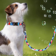 Personalized Nylon Print Dog Tag Collar Leash Engrave Nameplate ID