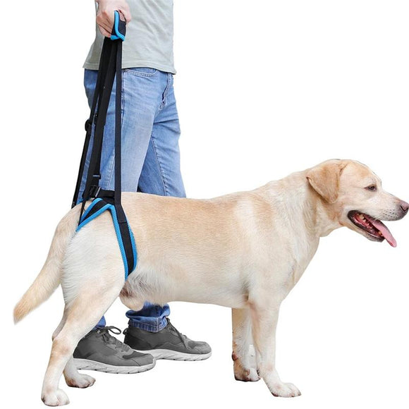 Pet Dog Auxiliary Harness Assist Lift Support Rehabilitation Belt