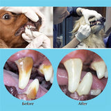 5 Pcs/set Pet Dog Cat Dental Stainless Steel Teeth Cleaning Tools Kit