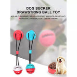 Pet Molar Dog Tug Rope Ball Chew Puppy Bite Toys Suction Cup