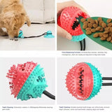 Pet Molar Dog Tug Rope Ball Chew Puppy Bite Toys Suction Cup