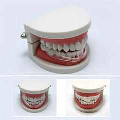 Teeth Protector Night Sleep Guard Dental Mouth Teeth Grinding Bruxism