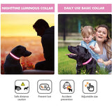 USB Rechargeable Light Up Dog Collars for Night Walking