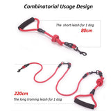 Double Dog Leash for Walking 2 Dogs