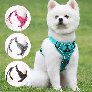 No Pull Front Clip Dog Harness and Lead Reflective Mesh Cat Puppy Walking Vest