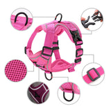 No Pull Front Clip Dog Harness and Lead Reflective Mesh Cat Puppy Walking Vest