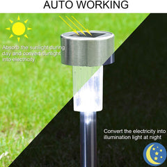 Stainless Steel Solar LED Solar Waterproof Landscape Garden Lights